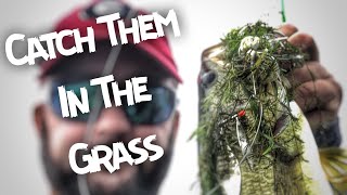 How to Find Bass in Lakes Filled with Grass Weeds or Mats [upl. by Llechtim]