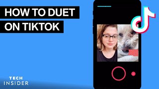 How To Duet On TikTok [upl. by Schellens]