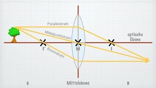 Linsen in der Optik [upl. by Olumor]