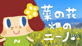 「菜の花畑のニーノ」〜二宮町においでよ！〜《東京ハイジ》 [upl. by Aria]