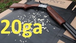 20 Gauge Shotguns Explained [upl. by Ellesor]