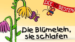 Die Blümelein sie schlafen  Die besten Schlaflieder  Kinderlieder [upl. by Brout]