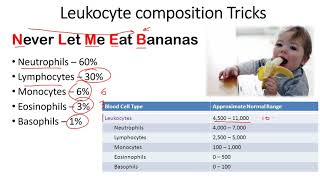 Leukocyte composition tricks to remember [upl. by Eihcir]