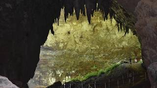 Rio Camuy Cave Puerto Rico 4K [upl. by Siocnarf900]