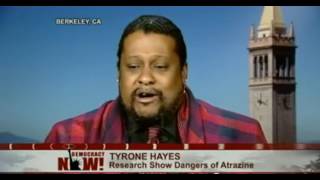 Hazards of Atrazine Herbacide Tyrone Hayes [upl. by Bever]