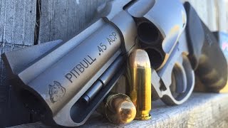 Charter Arms Pitbull Revolver in 45 ACP Review [upl. by Gwendolen]