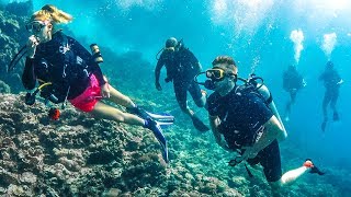 SCUBA DIVING WITH SHARKS [upl. by Napoleon180]