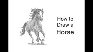 How to Draw a Horse Running Front View [upl. by Hamachi]