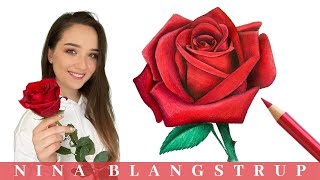 How to Draw a Realistic Rose  Step by Step Tutorial for Beginners [upl. by Demetria]