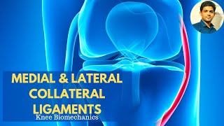 Lateral Collateral Ligament Anatomy Function Injury and Treatment [upl. by Nylinej387]