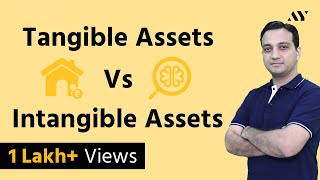 Tangible Assets amp Intangible Assets  Explained in Hindi [upl. by Menides]