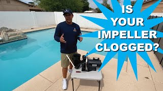 How to Unclog Your Pool Pump Impeller and warning signs [upl. by Salene]