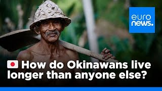 How do Okinawans live longer than anyone else  euronews 🇬🇧 [upl. by Aniela943]