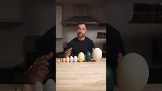 I Cooked the World’s CRAZIEST Eggs [upl. by Alyacim]