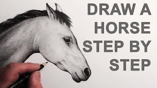 How to Draw a Horse Head Narrated [upl. by Monique]