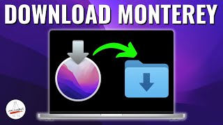 How to Download macOS Monterey  4 Different Ways [upl. by Eanert]