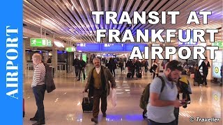 TRANSIT WALK AT FRANKFURT Airport FRA Terminal 1  Connection Flight Transfer Arriving amp Departing [upl. by Ferrell]