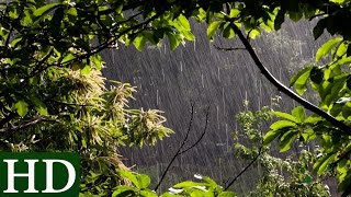 Lluvia HD  Sonido de Lluvia y Sonidos de la Naturaleza  Dormir [upl. by Sonni]