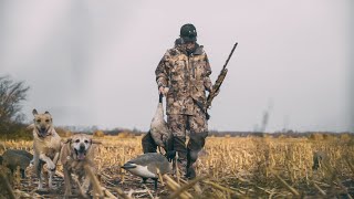 Waterfowl Hunting for Giant Canada Geese [upl. by Eilyab759]