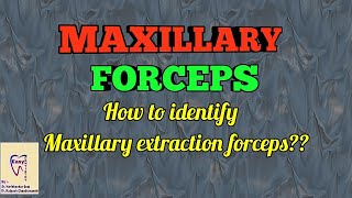 Dental Forceps  Maxillary forceps identification and use [upl. by Cha]