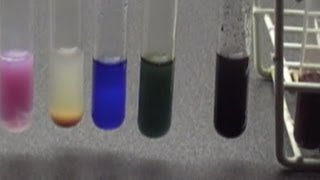 Chemistry experiment 9  Cobalt complexes [upl. by Hernardo145]