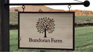 Bundoran Farm Agrihood in North Garden VA [upl. by Nysila]