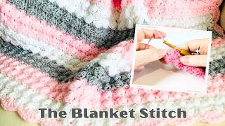 How to Crochet the Blanket Stitch EASY Crochet Tutorial [upl. by Selena]