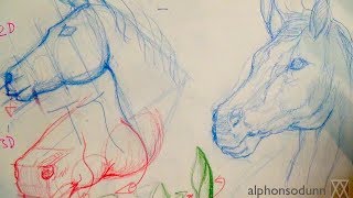 How to Draw a Horse Portrait [upl. by Ayerhs]