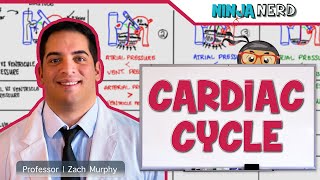 Cardiovascular  Cardiac Cycle [upl. by Einahpehs957]