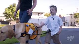 Autism Assistance Dog training with Lisa and Vespa [upl. by Reprah506]