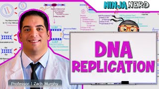 Cell Biology  DNA Replication 🧬 [upl. by Llenral]