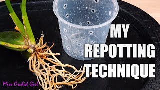 How I repot Oncidium Orchids Vs other growers  Multiple techniques for success [upl. by Cirdec]