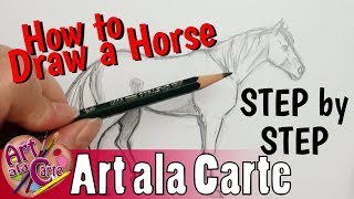 How to DRAW a HORSE Step by Step Real time [upl. by Carlotta295]