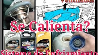 Se Calienta Sistema de Enfriamiento VW 20 SEAT [upl. by Repsihw430]