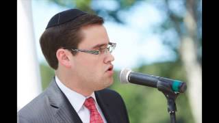 Aaron Tessler sings Sheva Brachot [upl. by Nadabus450]