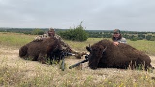 Texas BUFFALO Hunt Catch Clean Cook FT CRISPY [upl. by Columbus]