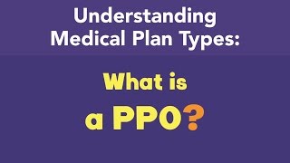 What is a PPO [upl. by Narok]