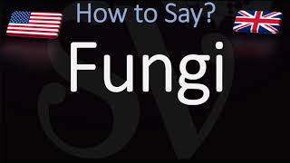 How to Pronounce Fungi [upl. by Sofko]