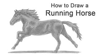 How to Draw a Horse Running [upl. by Adnamahs120]