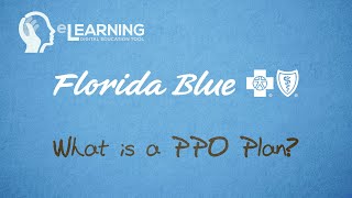 What is a PPO Plan [upl. by Lib]