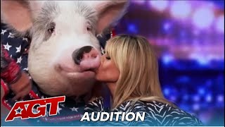 Pigs Got Talent Heidi Klum KISSES Talented Pig For quotGood Luckquot [upl. by Ahtinak]