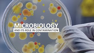 Microbiology and Contamination Control [upl. by Eeresed28]